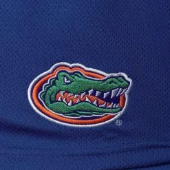 Profile Men's Royal Florida Gators Big & Tall Textured Shorts -Cornell Big Red Shop DSCO1136449584 1350 ALT2