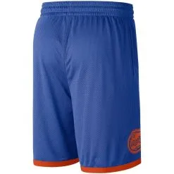 Men's Nike Royal/Orange Florida Gators Logo Performance Shorts -Cornell Big Red Shop DSCO1136764223 1350 ALT3