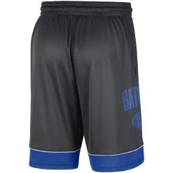 Men's Nike Charcoal/Royal Florida Gators Fast Break Shorts -Cornell Big Red Shop DSCO1136769944 ROYAGR ALT3