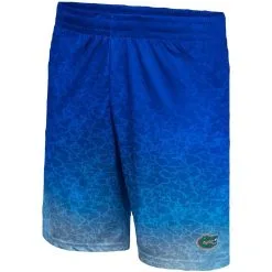 Men's Colosseum Royal Florida Gators Walter Shorts -Cornell Big Red Shop DSCO1136782874 1350 ALT2