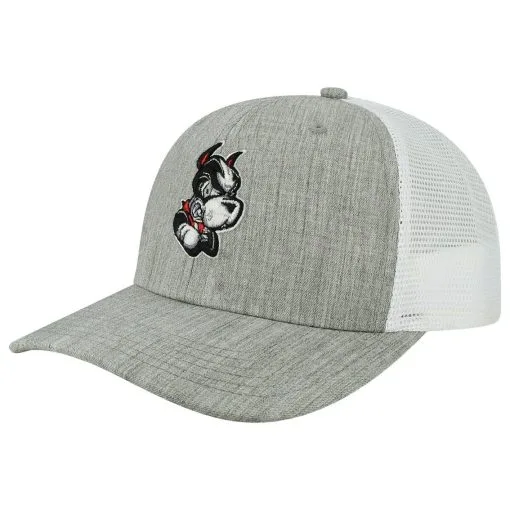Legacy Athletic Men's Heather Gray/White Boston University The Champ Trucker Snapback Hat -Cornell Big Red Shop DSCO1154096489 VNFK