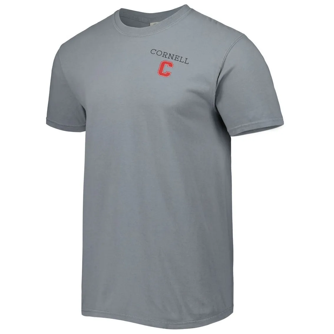 Image One Men's Gray Cornell Big Red Campus Scenery Comfort Color T-Shirt 3 Image One Men's Gray Cornell Big Red Campus Scenery Comfort Color T-Shirt - Image 3